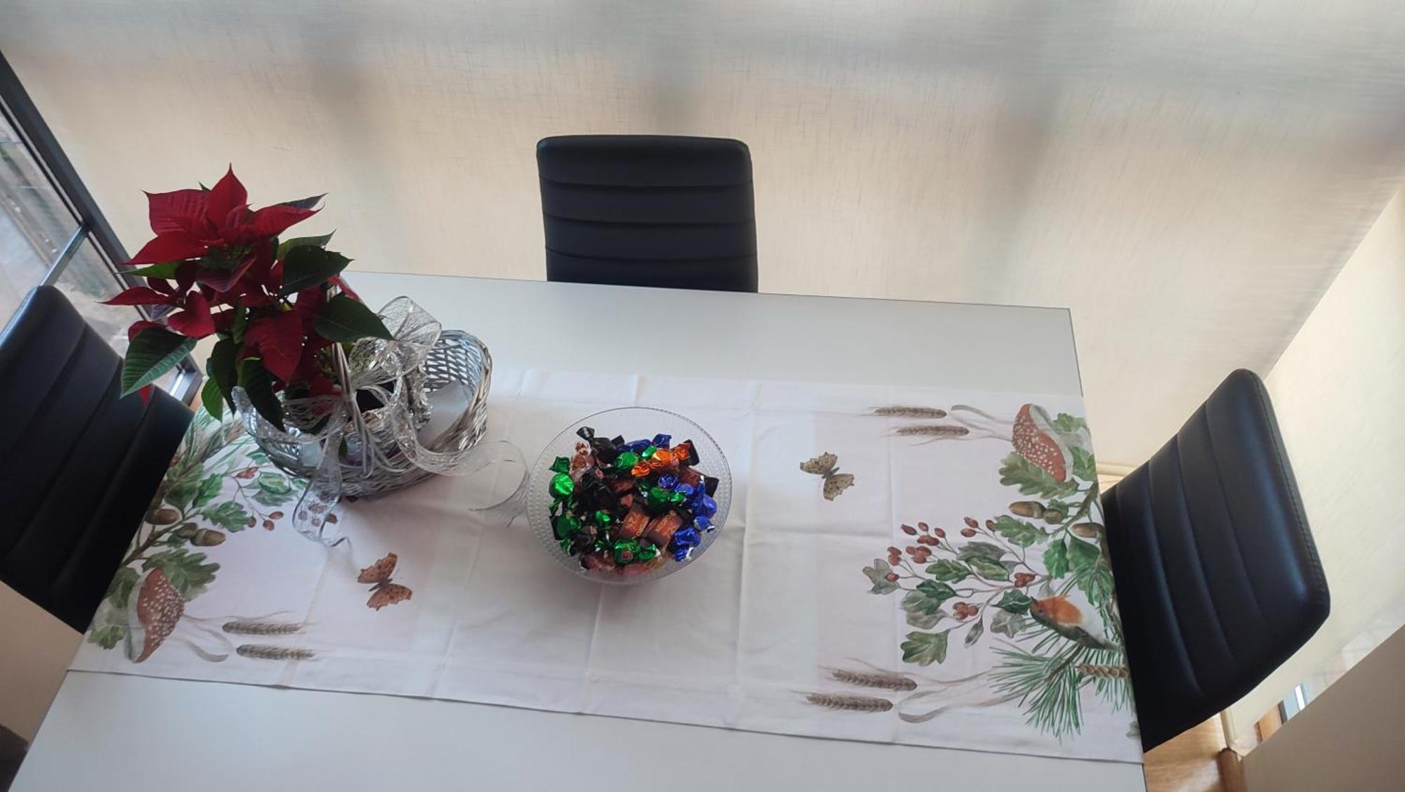 Estudio Paloma León Zewnętrze zdjęcie
